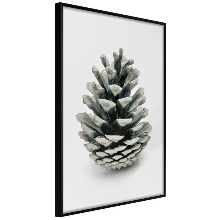 Wall Poster Open Nature - composition of a forest cone on a solid gray background 130730 additionalImage 11