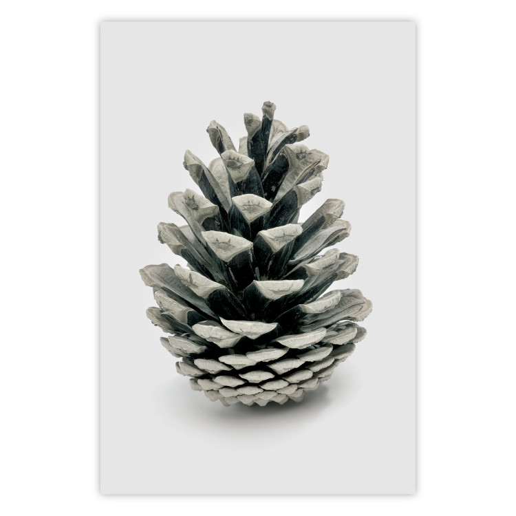 Wall Poster Open Nature - composition of a forest cone on a solid gray background 130730