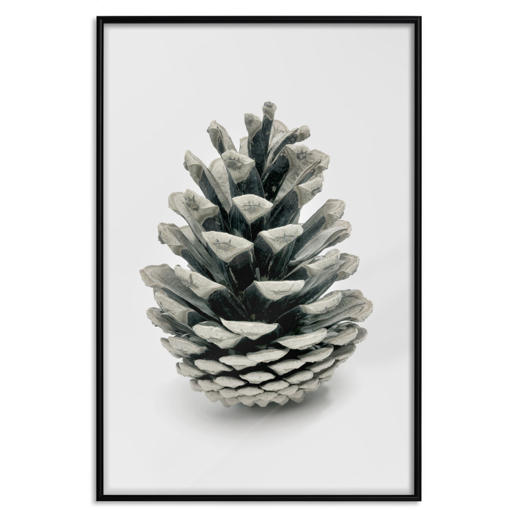 Wall Poster Open Nature - composition of a forest cone on a solid gray background 130730 additionalImage 18