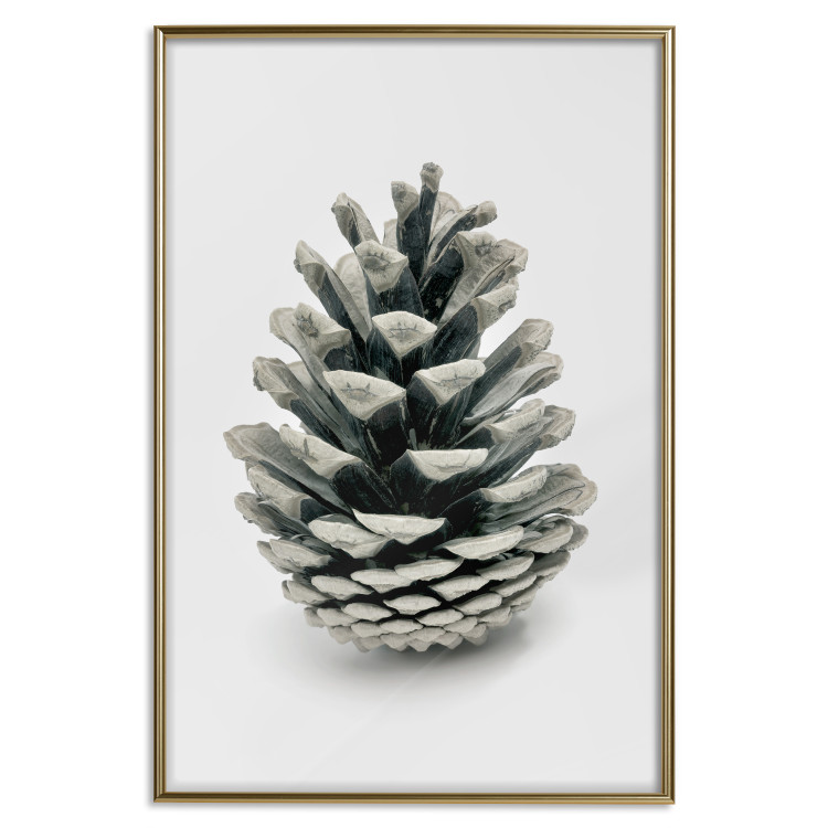 Wall Poster Open Nature - composition of a forest cone on a solid gray background 130730 additionalImage 21