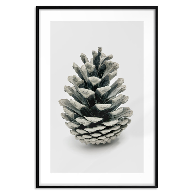 Wall Poster Open Nature - composition of a forest cone on a solid gray background 130730 additionalImage 17