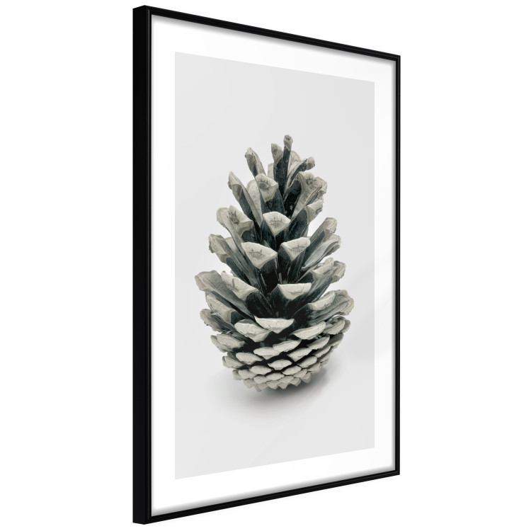 Wall Poster Open Nature - composition of a forest cone on a solid gray background 130730 additionalImage 6