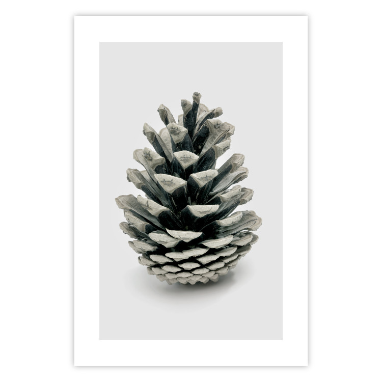 Wall Poster Open Nature - composition of a forest cone on a solid gray background 130730 additionalImage 19