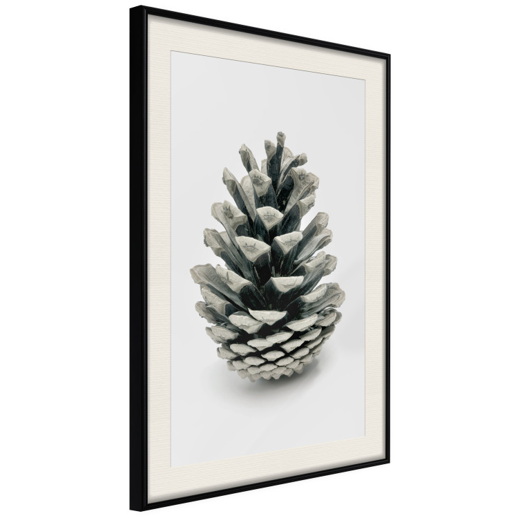 Wall Poster Open Nature - composition of a forest cone on a solid gray background 130730 additionalImage 2