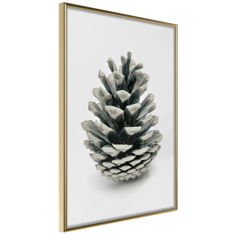 Wall Poster Open Nature - composition of a forest cone on a solid gray background 130730 additionalImage 14