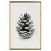 Wall Poster Open Nature - composition of a forest cone on a solid gray background 130730 additionalThumb 20