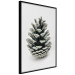Wall Poster Open Nature - composition of a forest cone on a solid gray background 130730 additionalThumb 11