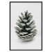 Wall Poster Open Nature - composition of a forest cone on a solid gray background 130730 additionalThumb 18