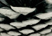 Wall Poster Open Nature - composition of a forest cone on a solid gray background 130730 additionalThumb 12