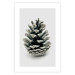 Wall Poster Open Nature - composition of a forest cone on a solid gray background 130730 additionalThumb 25