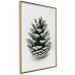 Wall Poster Open Nature - composition of a forest cone on a solid gray background 130730 additionalThumb 14