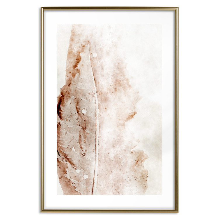 Wall Poster Mature Leaf - abstract texture of a brown leaf on a white background 131830 additionalImage 14