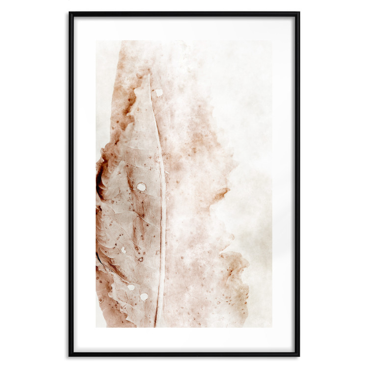 Wall Poster Mature Leaf - abstract texture of a brown leaf on a white background 131830 additionalImage 15