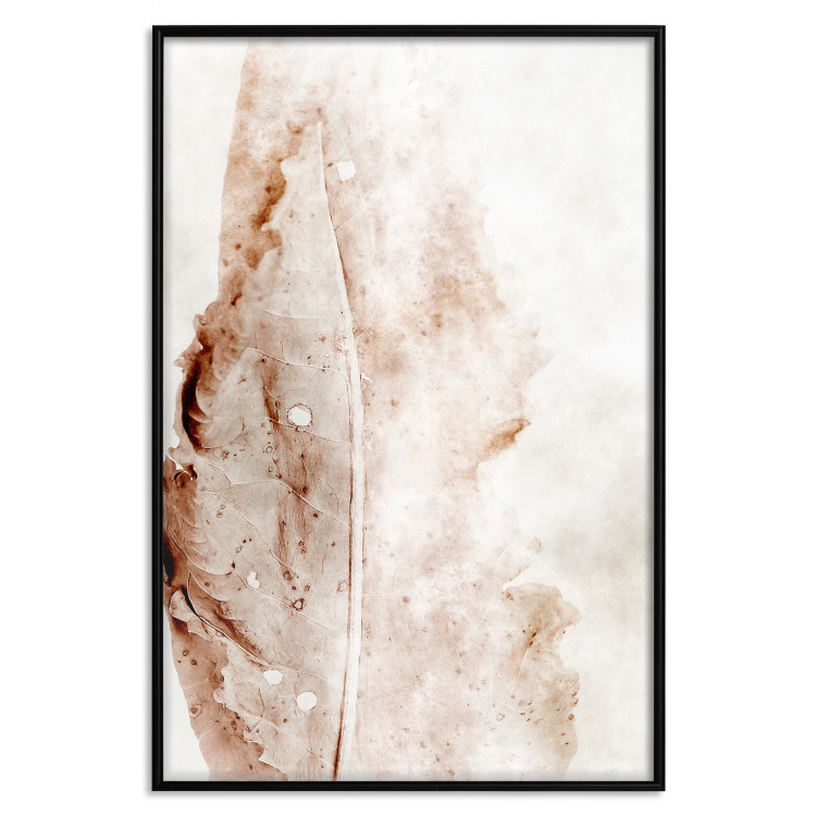 Wall Poster Mature Leaf - abstract texture of a brown leaf on a white background 131830 additionalImage 16