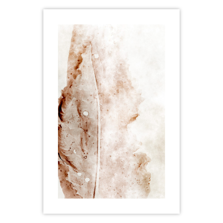 Wall Poster Mature Leaf - abstract texture of a brown leaf on a white background 131830 additionalImage 19
