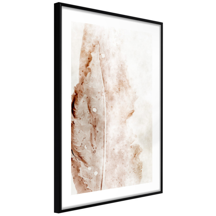 Wall Poster Mature Leaf - abstract texture of a brown leaf on a white background 131830 additionalImage 6