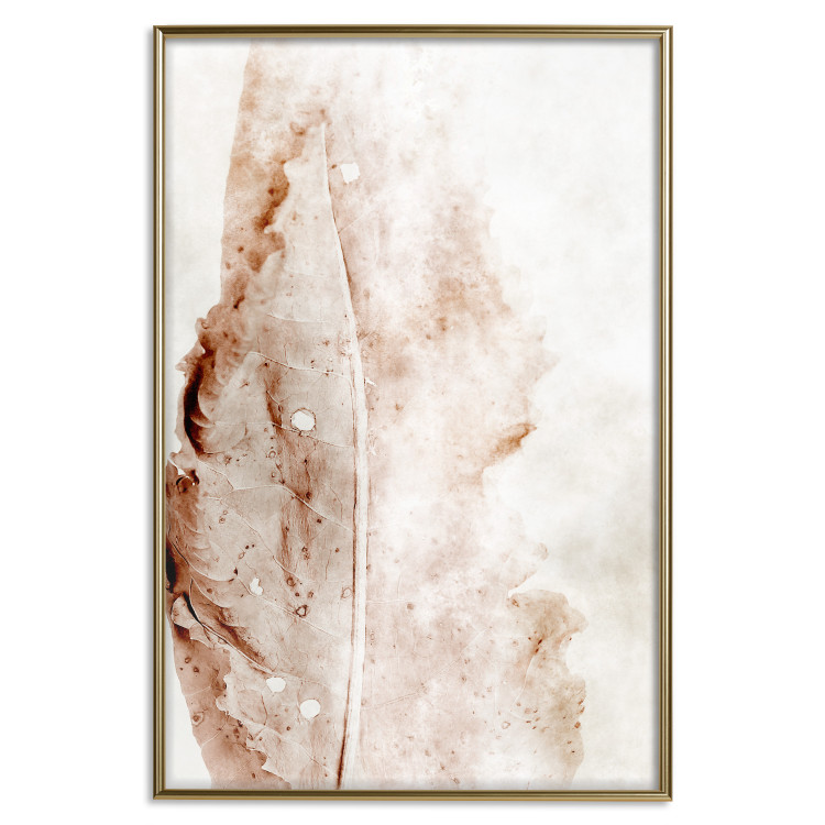 Wall Poster Mature Leaf - abstract texture of a brown leaf on a white background 131830 additionalImage 17