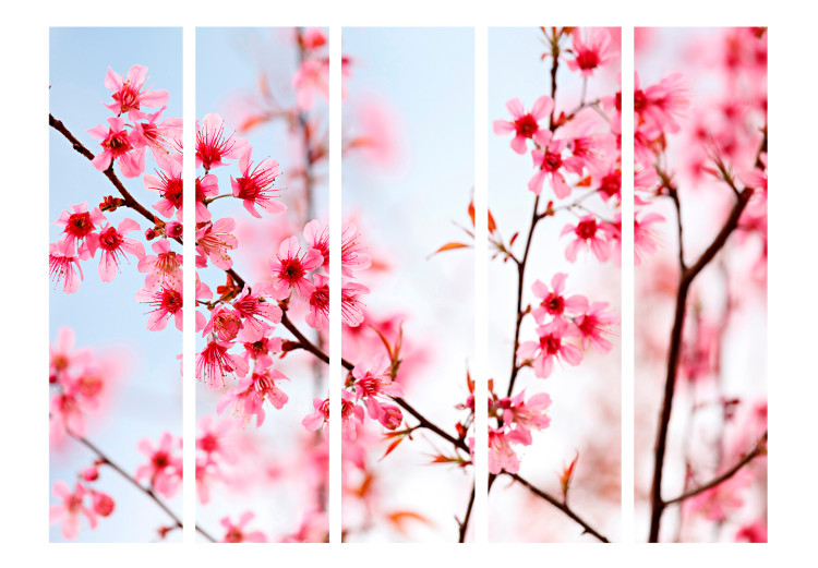 Folding Screen Symbol of Japan - Sakura II (5-piece) - cherry blossoms on branches 132730 additionalImage 3