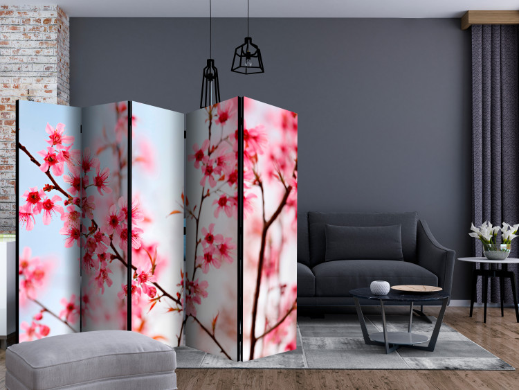 Folding Screen Symbol of Japan - Sakura II (5-piece) - cherry blossoms on branches 132730 additionalImage 4