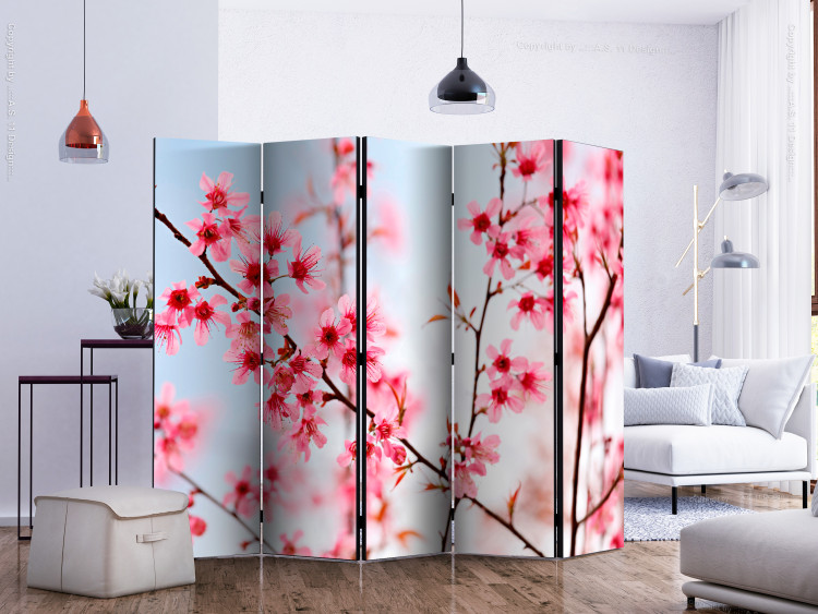 Folding Screen Symbol of Japan - Sakura II (5-piece) - cherry blossoms on branches 132730 additionalImage 2