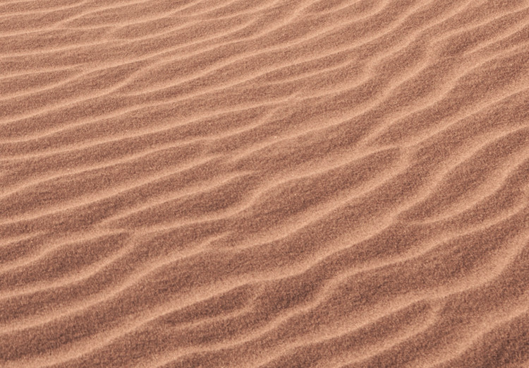 Canvas Print Desert Vegetation (1-piece) Vertical - Arab desert in Morocco 134730 additionalImage 4