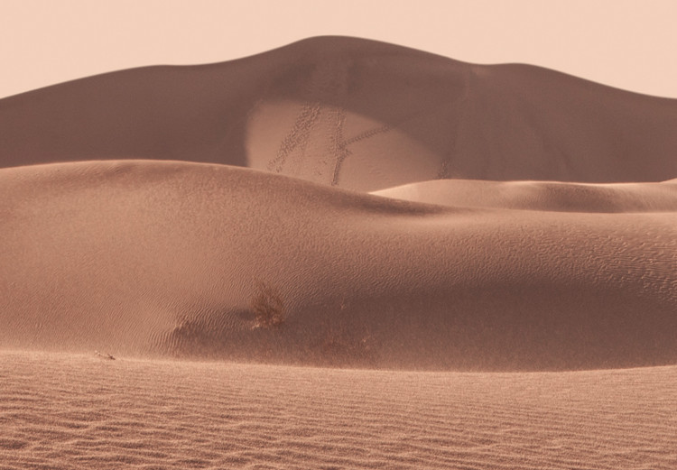 Canvas Print Desert Vegetation (1-piece) Vertical - Arab desert in Morocco 134730 additionalImage 5