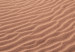 Canvas Print Desert Vegetation (1-piece) Vertical - Arab desert in Morocco 134730 additionalThumb 4