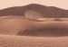Canvas Print Desert Vegetation (1-piece) Vertical - Arab desert in Morocco 134730 additionalThumb 5