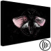 Canvas Art Print Night Moth (1-piece) Wide - second variant - pink wings 142530 additionalThumb 6