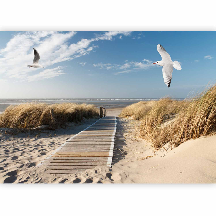 Wall Mural Summer landscape - landscape with birds on a background of calm sea and beach 143830 additionalImage 1
