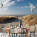 Wall Mural Summer landscape - landscape with birds on a background of calm sea and beach 143830 additionalThumb 6