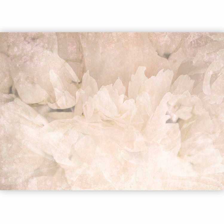 Photo Wallpaper Creamy Peony Petals - Delicate Flower Interior in Light Sepia 145330 additionalImage 5