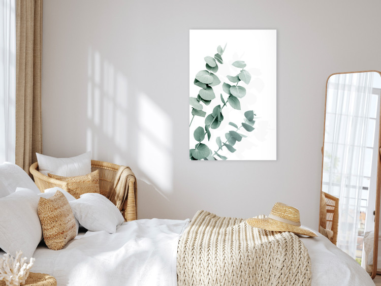 Canvas Art Print Eucalyptus Leaves - Sprigs of a Green Plant on a White Background 146130 additionalImage 3