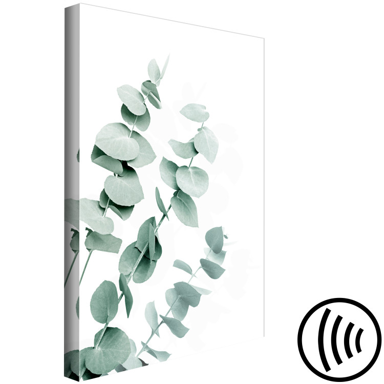 Canvas Art Print Eucalyptus Leaves - Sprigs of a Green Plant on a White Background 146130 additionalImage 6