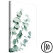 Canvas Art Print Eucalyptus Leaves - Sprigs of a Green Plant on a White Background 146130 additionalThumb 6