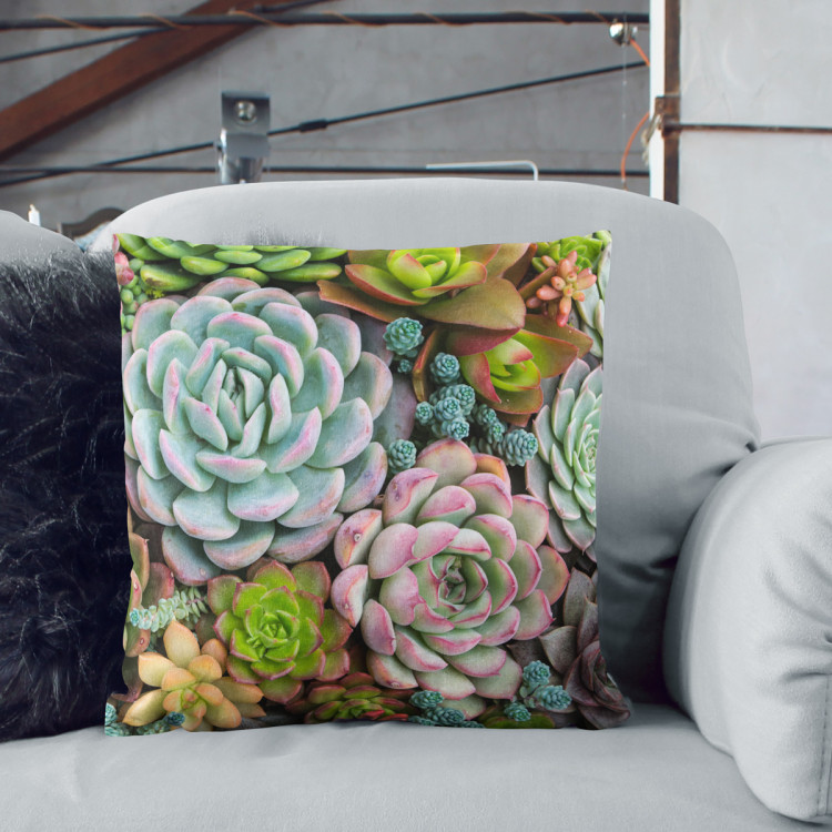 Decorative Microfiber Pillow A world of the succulents - a floral composition with rich detailing cushions 146830 additionalImage 5