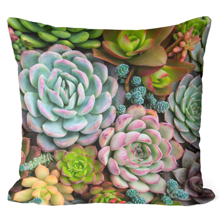 Decorative Microfiber Pillow A world of the succulents - a floral composition with rich detailing cushions 146830