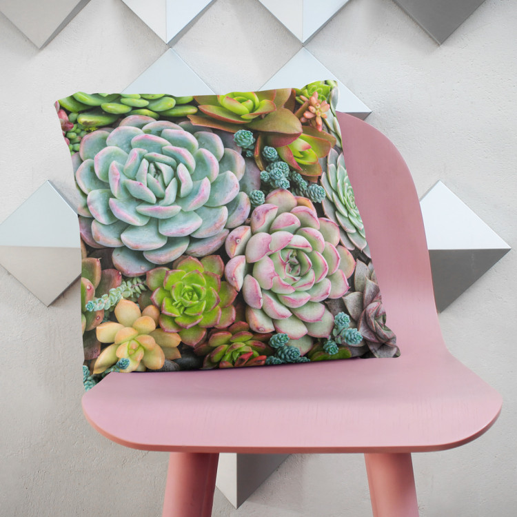 Decorative Microfiber Pillow A world of the succulents - a floral composition with rich detailing cushions 146830 additionalImage 6
