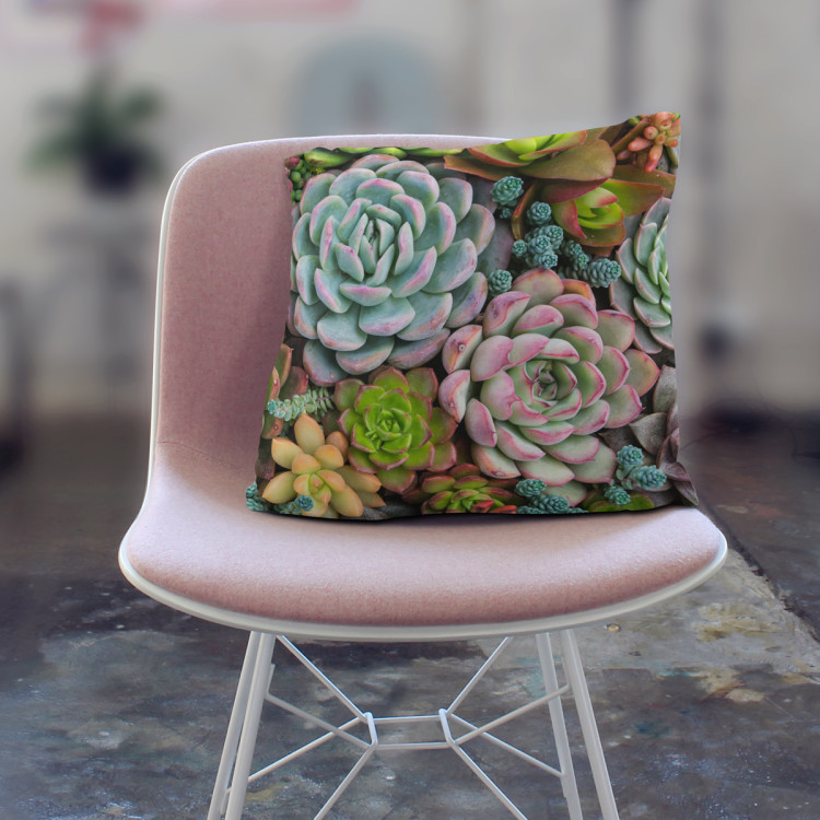 Decorative Microfiber Pillow A world of the succulents - a floral composition with rich detailing cushions 146830 additionalImage 4