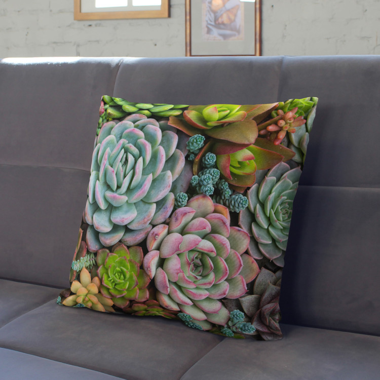 Decorative Microfiber Pillow A world of the succulents - a floral composition with rich detailing cushions 146830 additionalImage 2