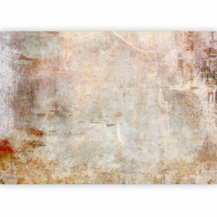 Wall Mural Wild Thought of Insanity - Abstract Background in a Modern Style 148430 additionalImage 1