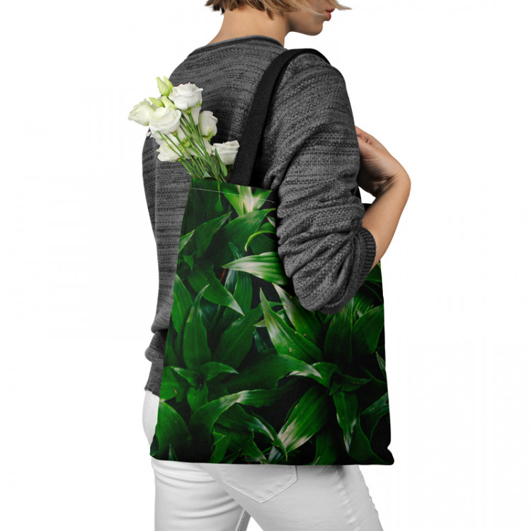 Shopping Bag Dracaena oasis - a plant composition with rich detailing 148530 additionalImage 3