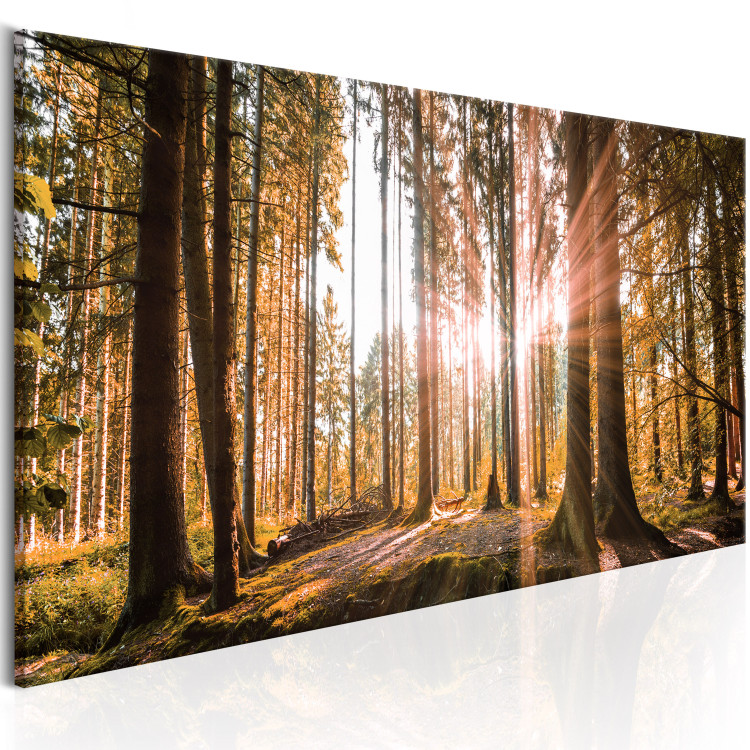Large canvas print Small Natural Wonders III [Large Format] 149030 additionalImage 2