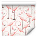 Wallpaper Pink Pattern - Rows of Pink Flamingos With Eyes Closed 150030 additionalThumb 6