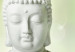 Canvas Print Buddha and jasmine 50030 additionalThumb 5