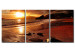 Canvas Print Sunset on the beach 50630
