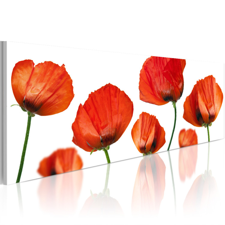 Canvas Print Poppies on a white background 58730 additionalImage 2