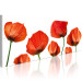 Canvas Print Poppies on a white background 58730 additionalThumb 2
