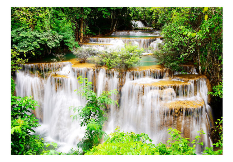 Wall Mural Beauty of Nature - Landscape of Waterfalls on a River amidst Forest Trees 60030 additionalImage 1