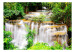 Wall Mural Beauty of Nature - Landscape of Waterfalls on a River amidst Forest Trees 60030 additionalThumb 1
